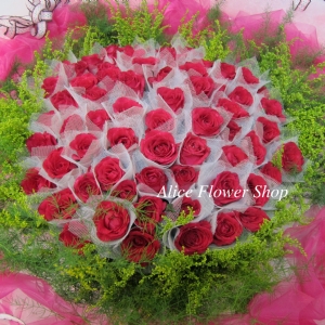桃紅玫瑰66朵花束